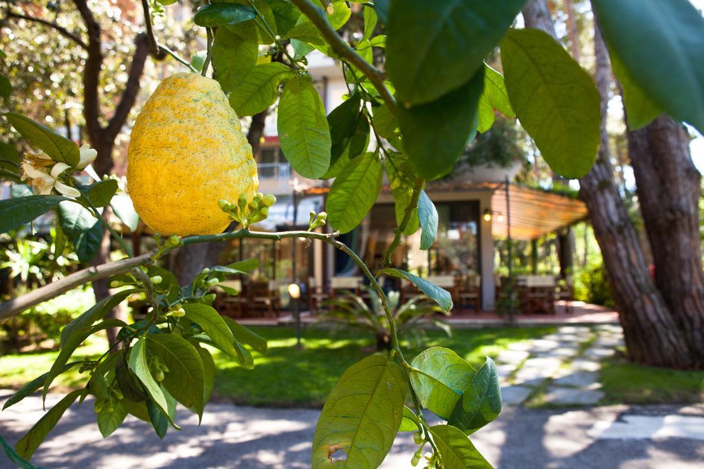 Hotel Andreaneri